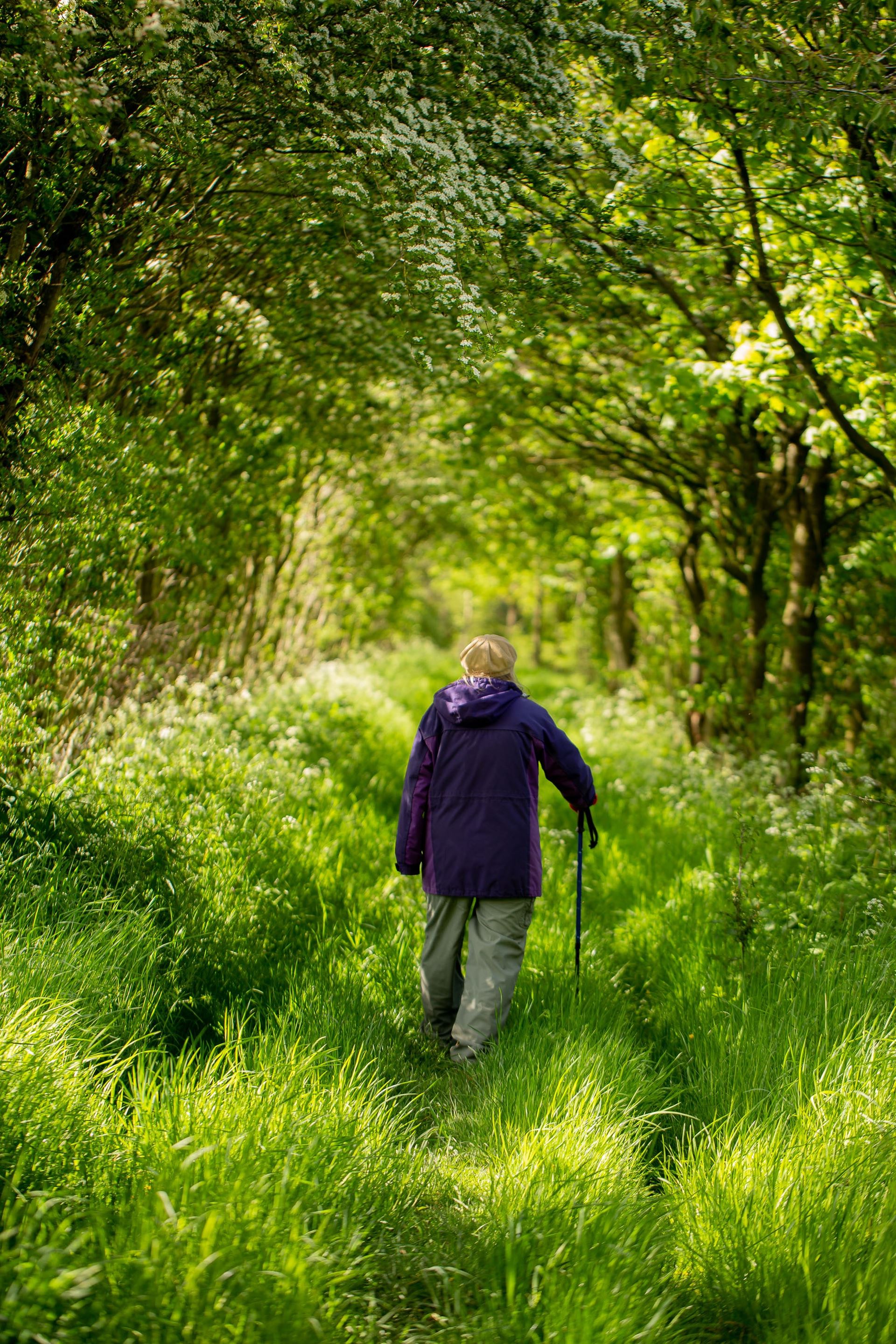 walking aid form