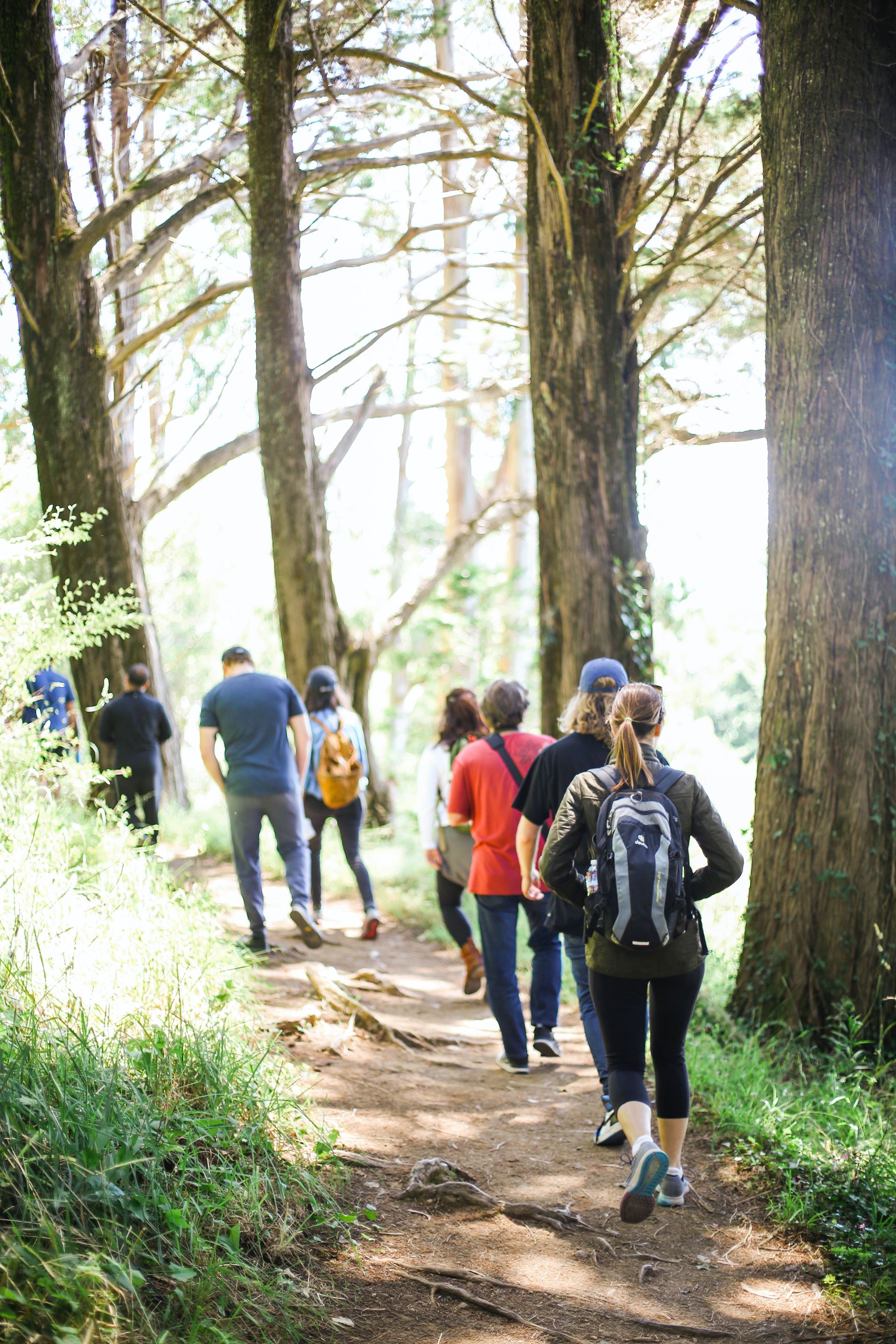 walking group