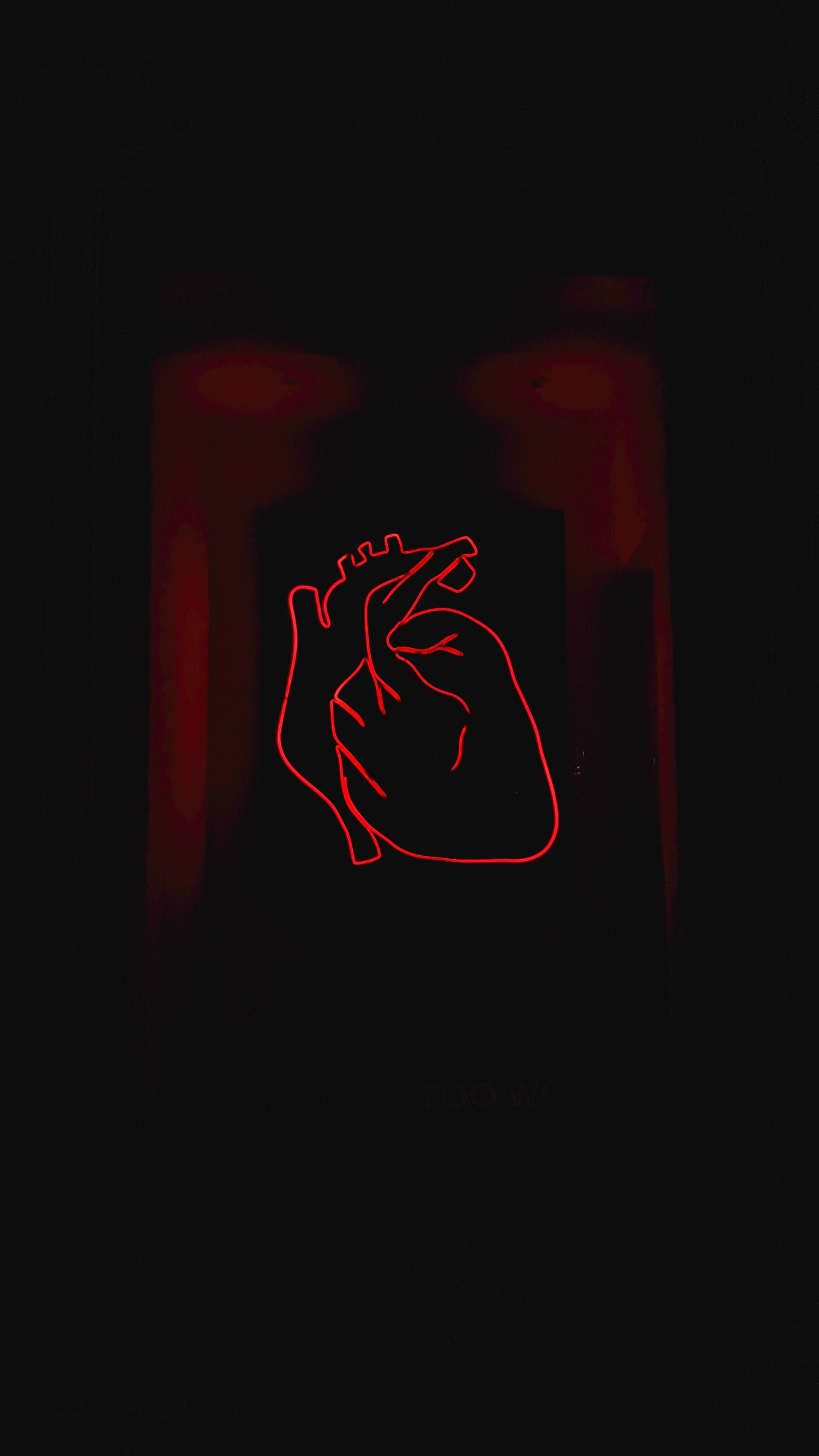 Heart